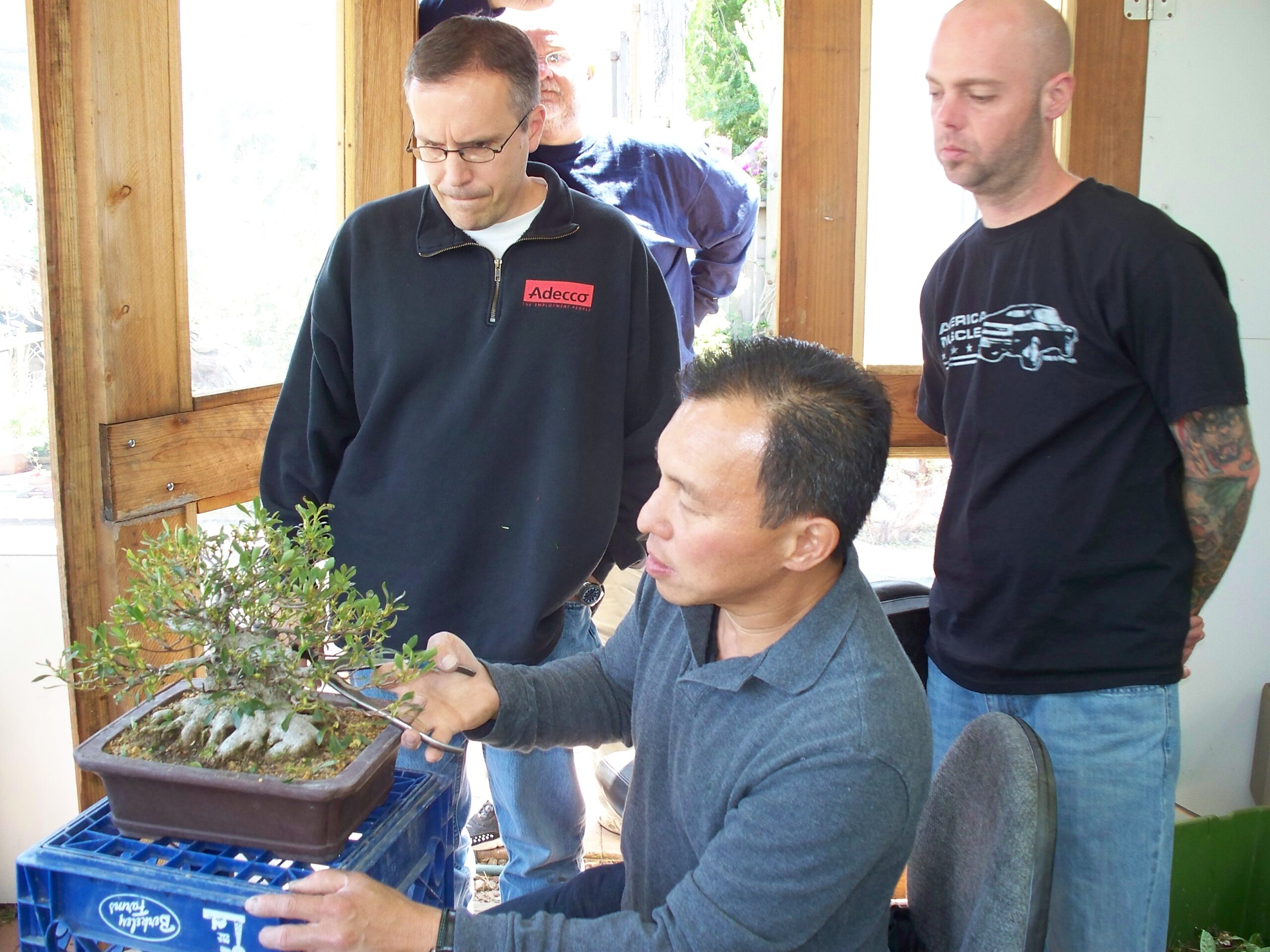 Bonsai Intensive – Satsuki Azalea
