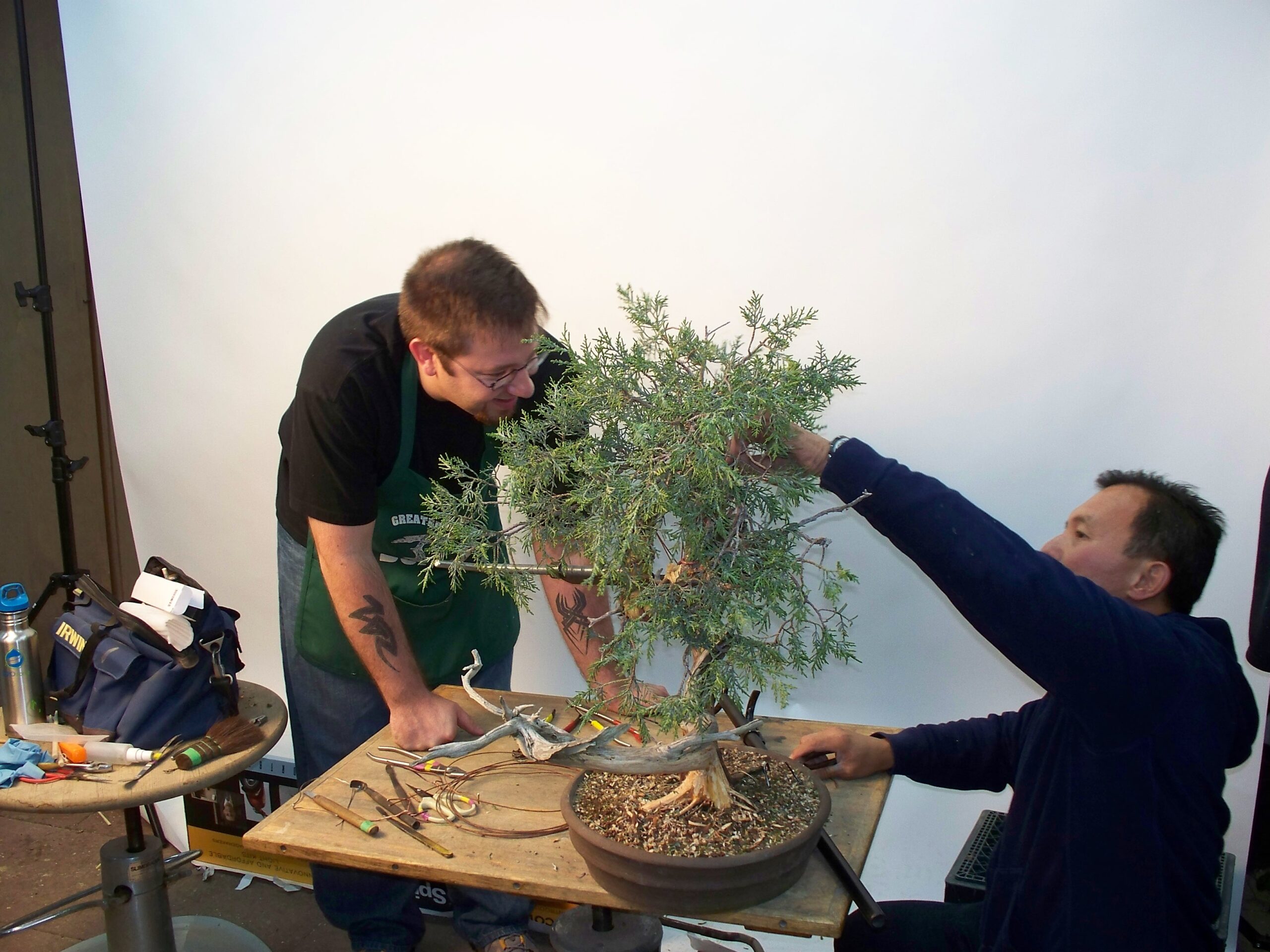 How To Bend a Western Juniper