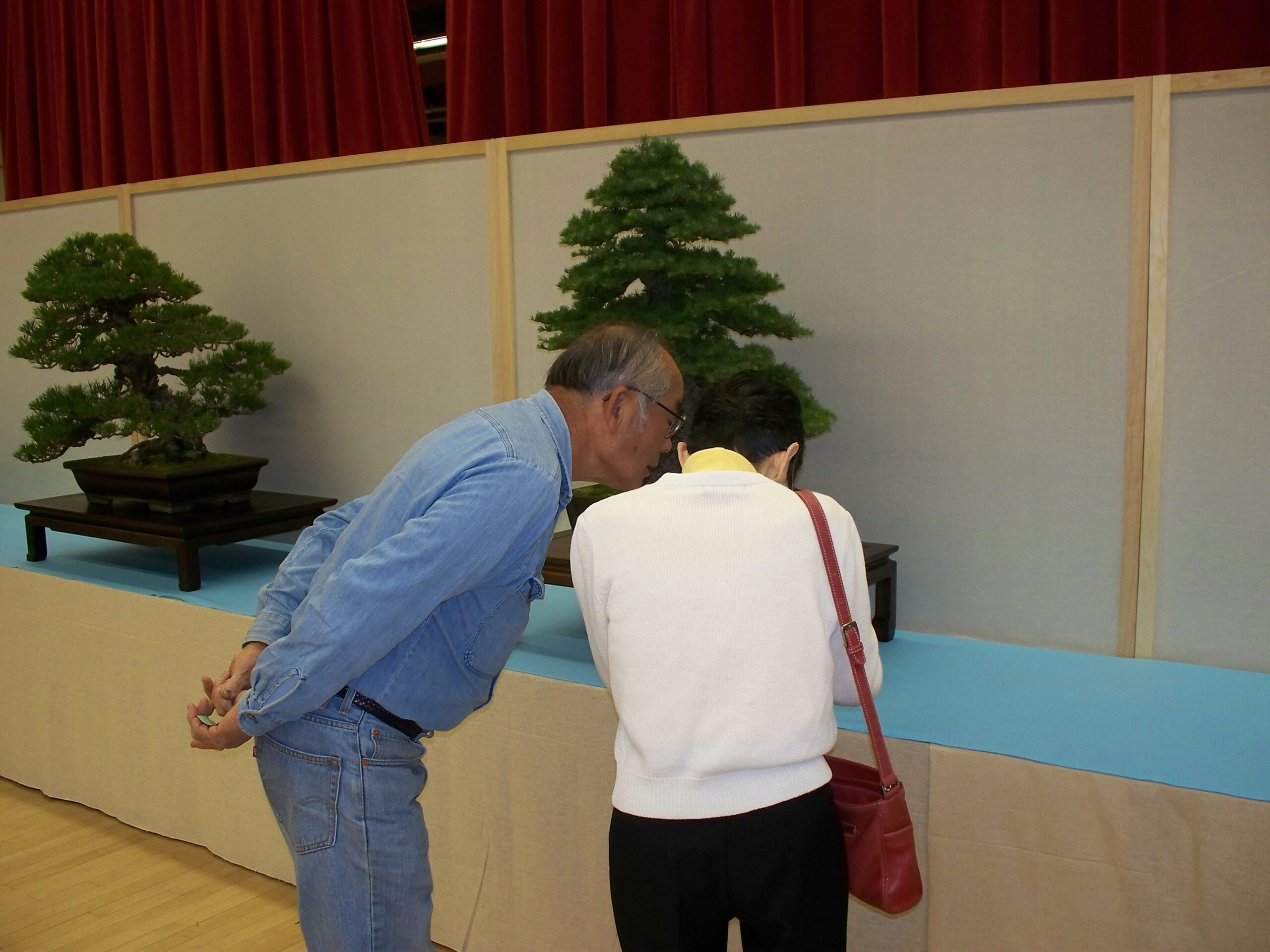 9 Reasons for a Winter Bonsai Exhibit