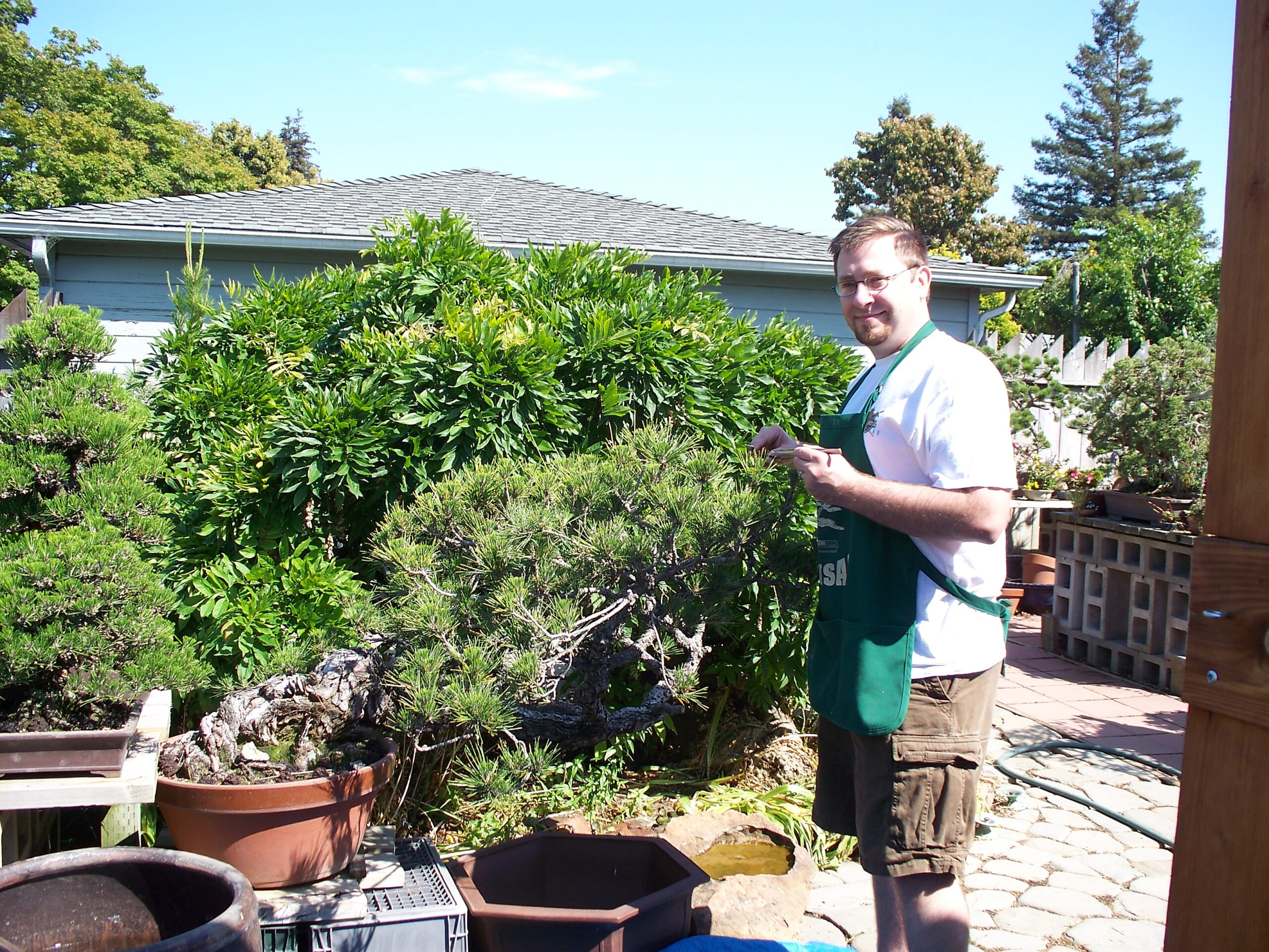 Bonsai Intensive – Japanese Black Pine