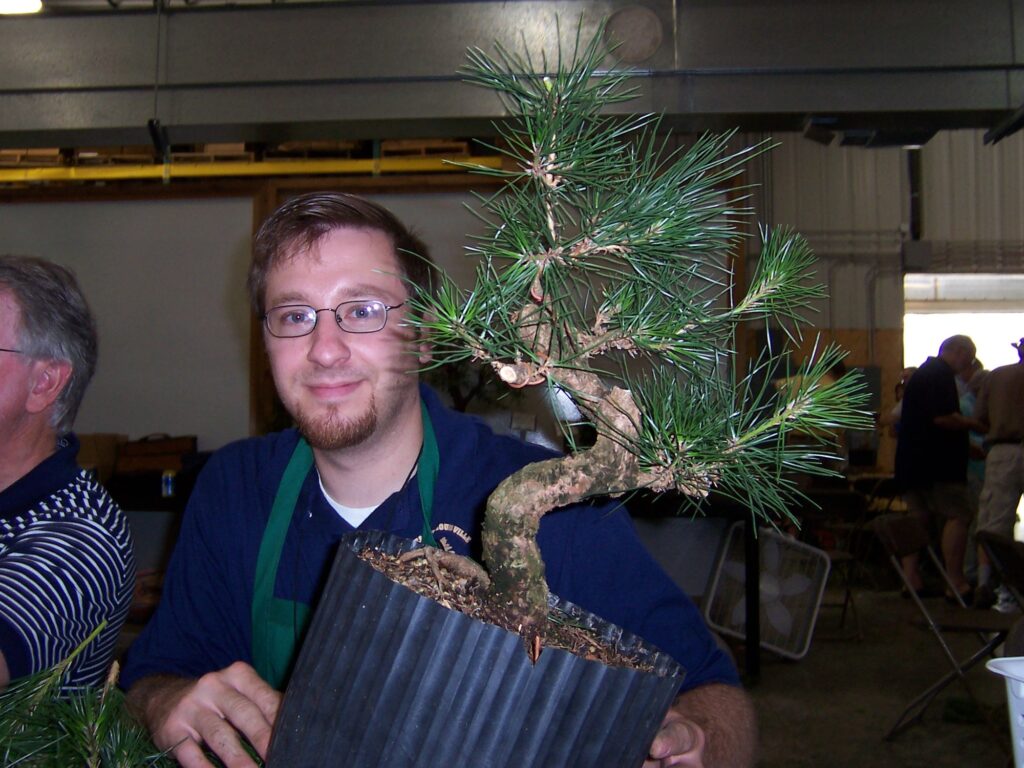 John Callaway holds the same black pine after styling, its curved trunk now visible, still in a dark ribbed nursery pot